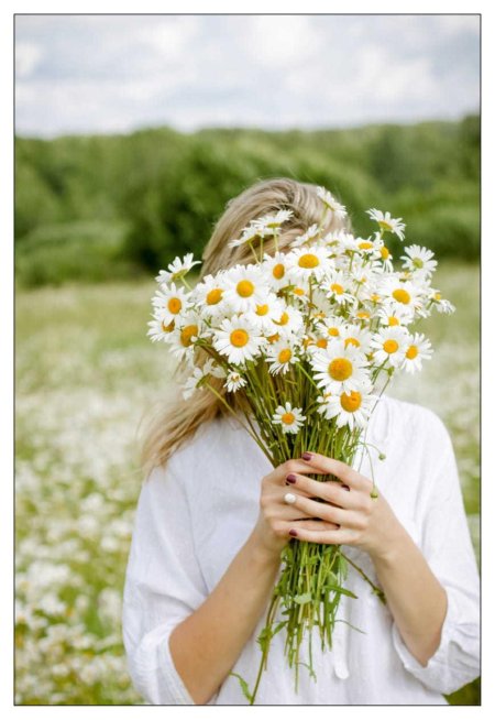 Букет ромашек