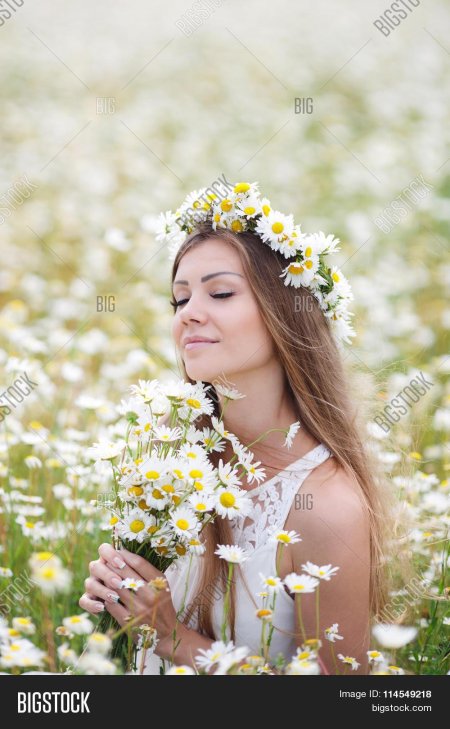 Девушка в ромашковом поле