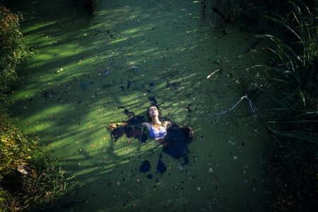 Болото Тина трясина