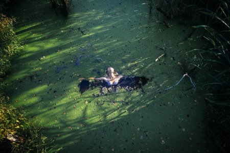 Девушка болото