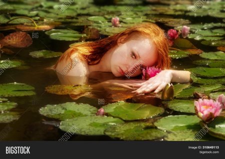 Лилии в воде женщина ню