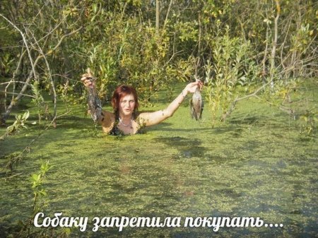 Фотосессия в болоте