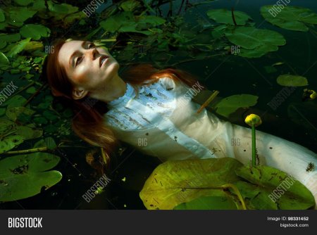 Девушка в кувшинках в воде