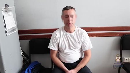 Подозреваемый в краже