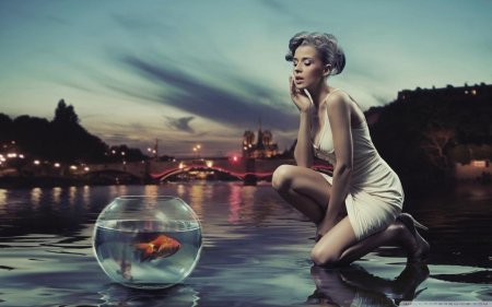 Аквариум золотая рыбка