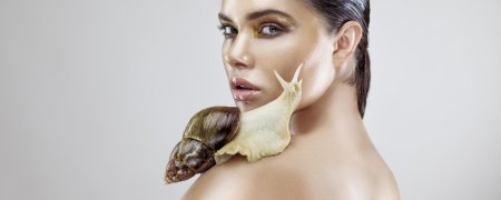 Омоложение улитками ахатинами