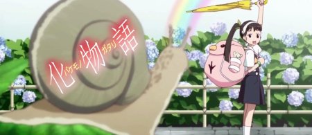 Monogatari Хачикуджи