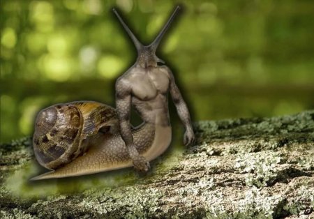 Прикольная улитка