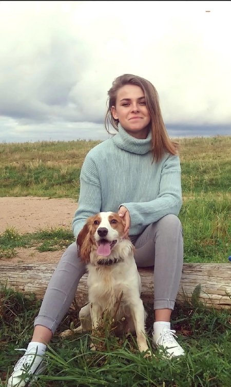 Бигль собака