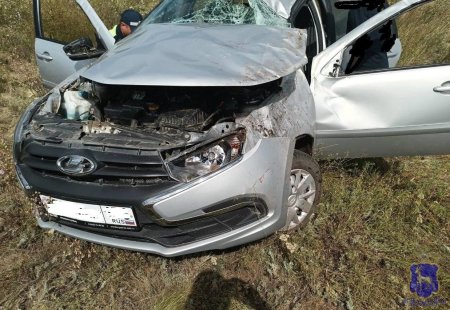 Серая лада гранта