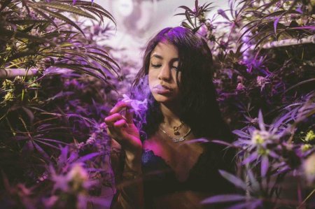 Гянджа герлз