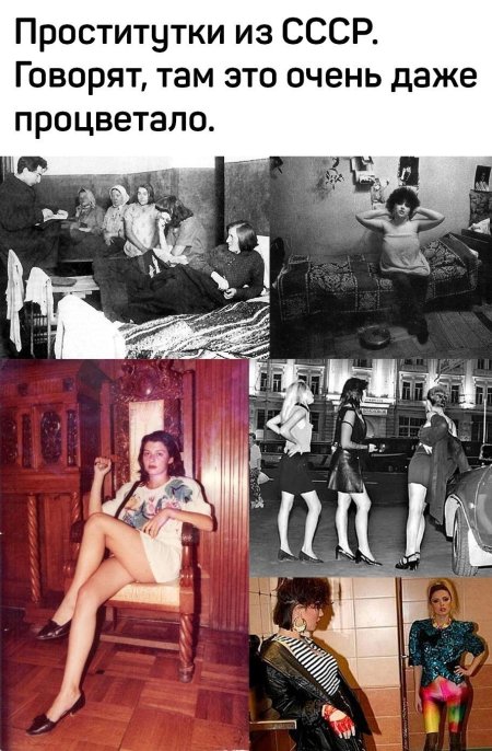 Ночные бабочки СССР