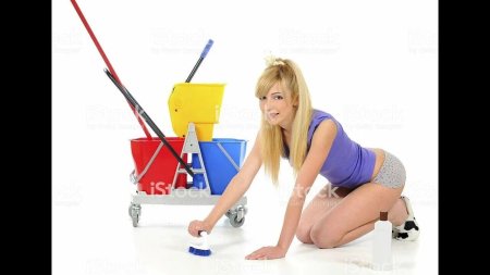 Cleaner woman