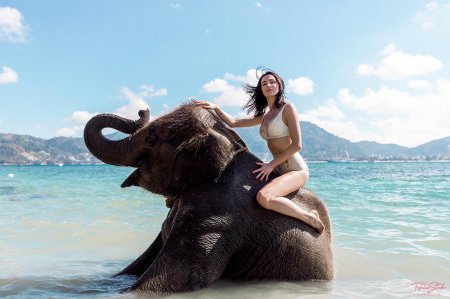 Девушка на слоне