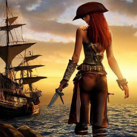 Пират на корабле