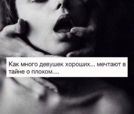 Афоризмы про пошлость