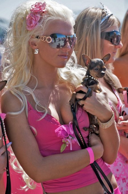 Блондинка с собачкой