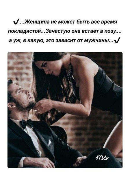 Дерзкие высказывания