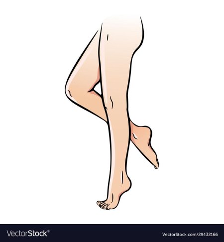 Ноги вектор