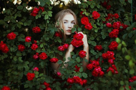 Девушка с розой