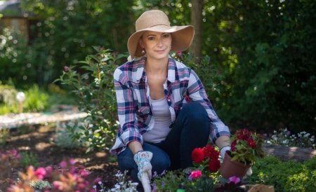 Шляпа садовника