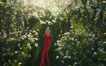 Девушка в саду