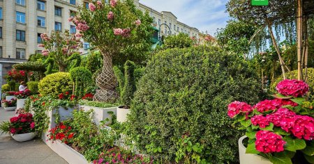 Манежная площадь цветочный джем