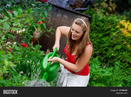 Женщина в огороде