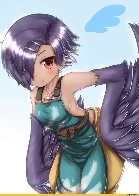 Monster girl Гарпия