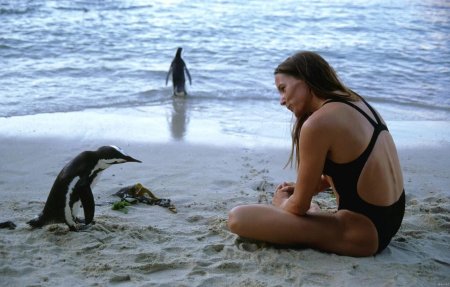 Пингвин для женщин