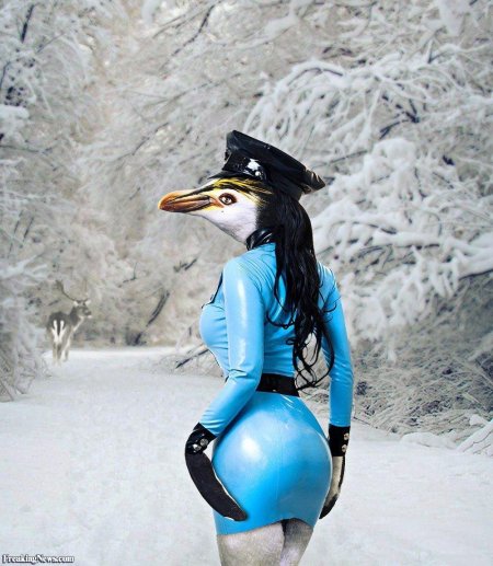 Оля Булкина Пингвин