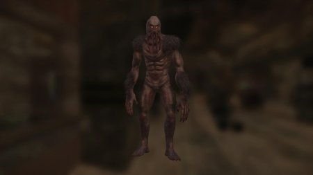 Кровосос из сталкера