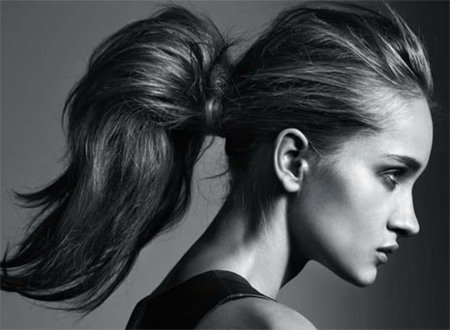 Кристен Стюарт конский хвост