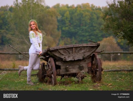 Телега деревенская