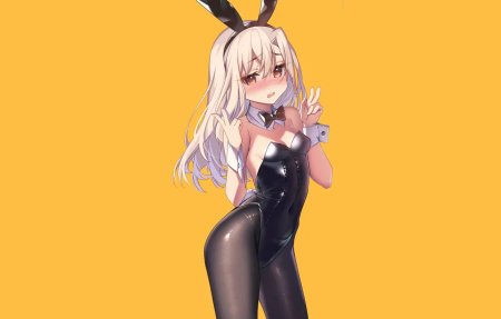 Bunny Suit anime Art
