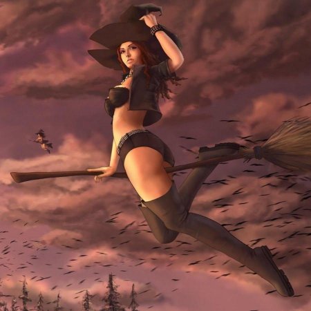 Красивая ведьма на метле