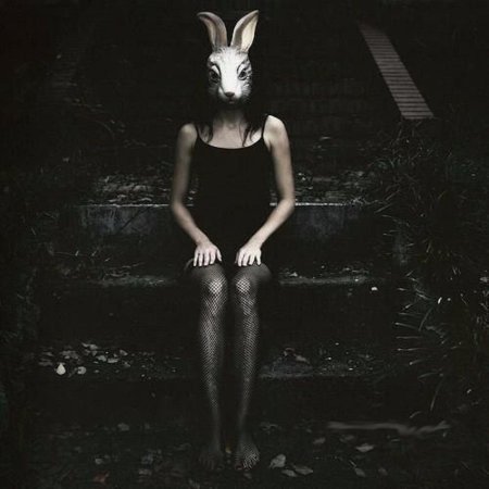 Девушки в масках животных