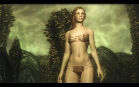 Skyrim нижнее белье для тел UNP