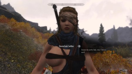 Скайрим мод