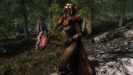 Скайрим Корус компаньон