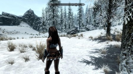 Skyrim Imperial Armor