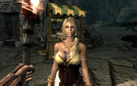 The Elder Scrolls v: Skyrim — хроки