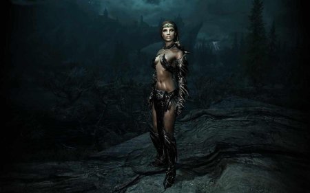 Моды на скайрим реплейсер брони изгоев