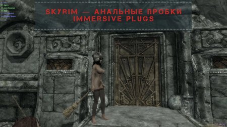 Immersive Plugs Skyrim