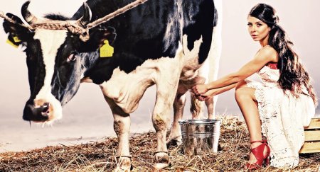 Красивая доярка