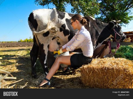 Девушка и корова в деревне