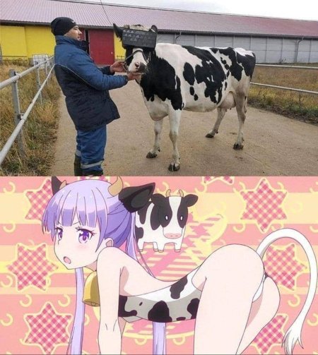 Аниме корова