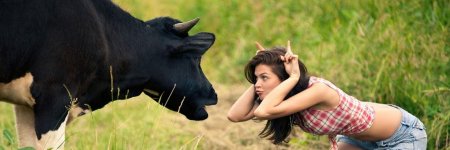 Телки и быки