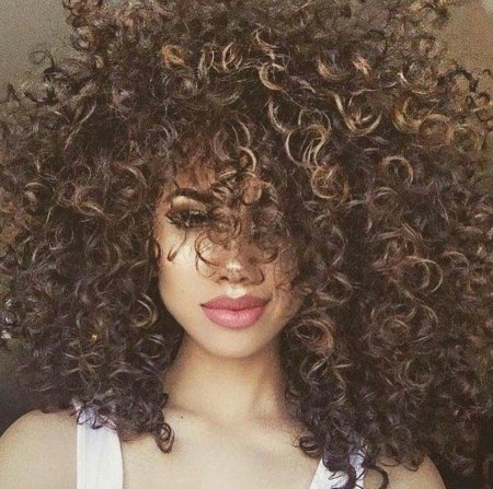 Зиверт с кудрями