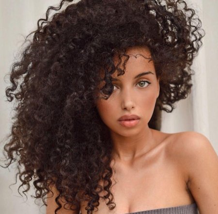 Афролоконы джессика